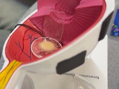 -武汉大学附属爱尔眼科医院(湖北总院)