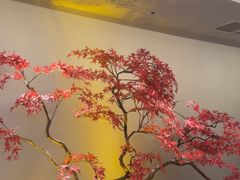 -董家大院·京味家常菜(朝丰家园店)
