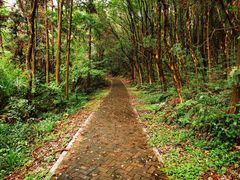 -青龙山国家森林公园