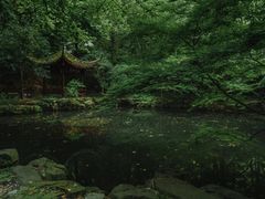 -虎跑公园