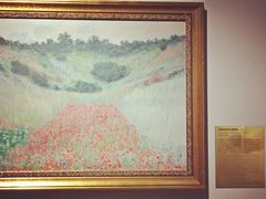 -印象莫奈时光映迹艺术展