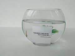 -知美术馆