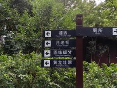 -杭州黄龙洞