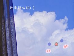 -海鲨湾海鲜会馆(百家湖1912店)