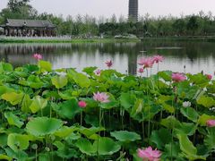 -西海子公园