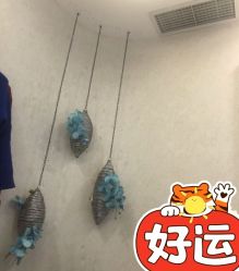 -健身堂科技美肌SPA