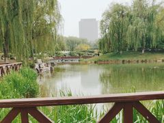 -河北省园博园