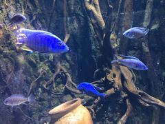 -华夏文旅海洋公园