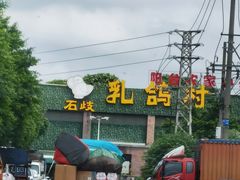 -石岐乳鸽村(南海第三分店)
