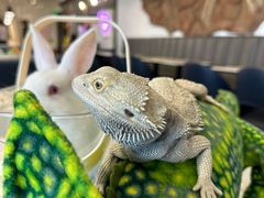 -FAIRYLAND龙族星球主题餐厅(凯丹广场店)