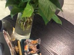 -梵猫·新养生(加州广场店)
