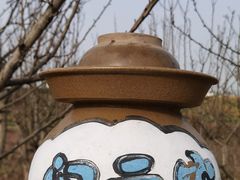 -空港花田景区