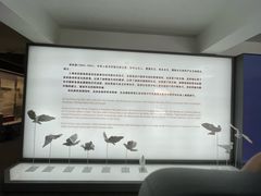 -宋庆龄陵园