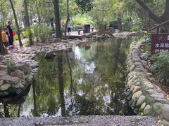 -成都市活水公园