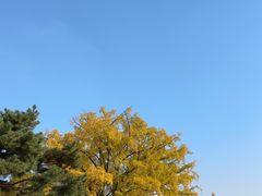 -景福宫
