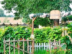 -安德鲁户外烧烤帐篷营地(马泉营店)