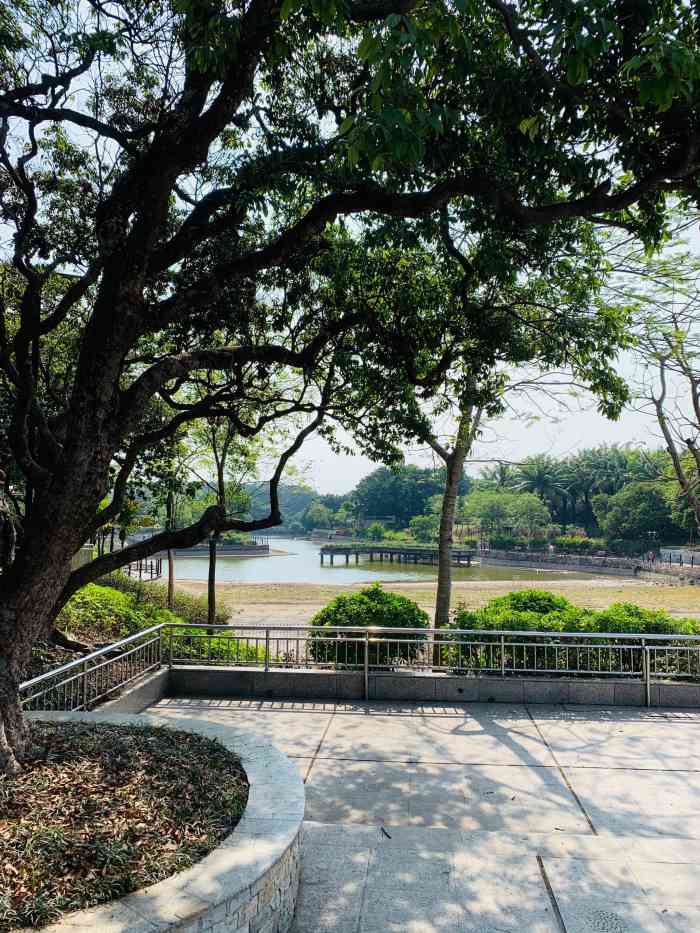 中山公园-"遛娃好去处之南头中山公园……由于疫情好.