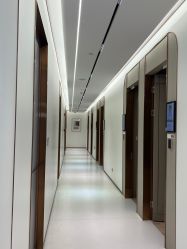 -深圳美莱医疗美容医院