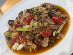 -青城甲(青城山店)