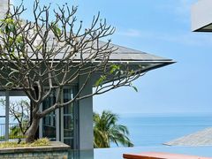-日落吧·海景咖啡厅·餐酒吧·鸡尾酒·下午茶·乐队表演·浪漫夕阳·三亚文华东方酒店