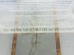 -西峡恐龙遗迹园