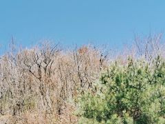 -秦岭风景区