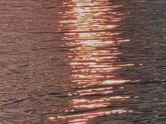 -滆湖低碳生态公园