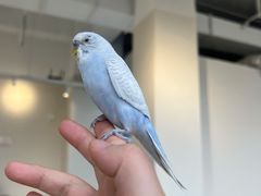 -怪兽屋·羊驼·猫咖·狗咖(俊华广场店)