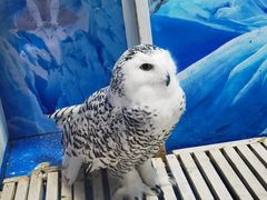 -成都浩海立方海洋公园