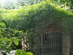 -成都市活水公园
