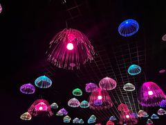 -石家庄极地海洋世界