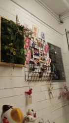 -文E范儿ZUMBA尊巴舞蹈