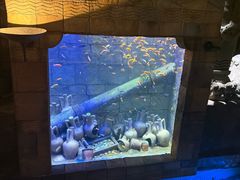 -新加坡水上探险乐园