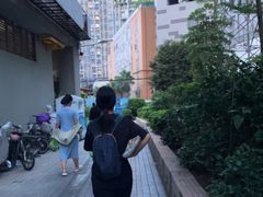 -晓港公园