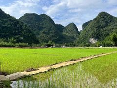 -靖西鹅泉风景区