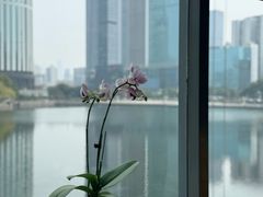 -珈境湖畔餐厅·湖北菜·江浙菜•樱花季(西北湖店)