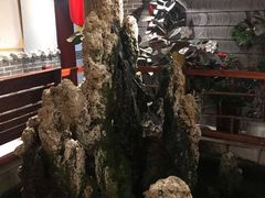 -潘佳驴肉(天齐庙北门店)