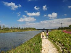 -春花秋色城市公园