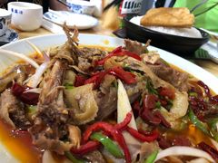 -煲来饱去冷水鱼