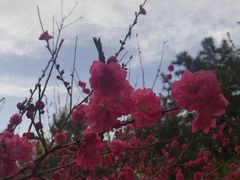 -王府井步行街