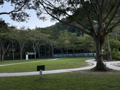 -野象谷景区
