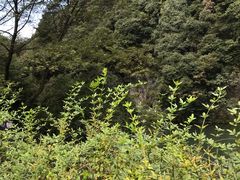 -溪口-滕头旅游景区