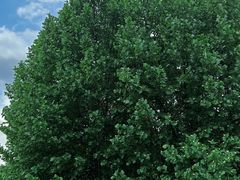 -南京市江宁方山