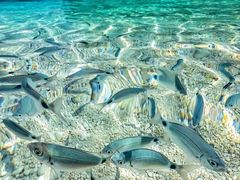 -三亚西岛海洋文化旅游区