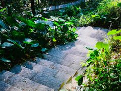 -火炉山森林公园
