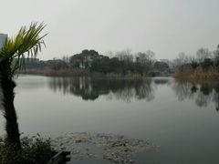 android_upload_pic-新江湾城公园