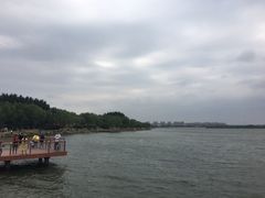 -丁香湖公园