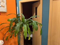 -Together·泰式按摩精油SPA(天山店)