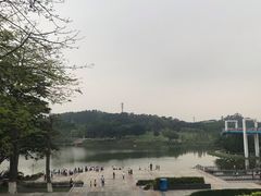 -东莞植物园