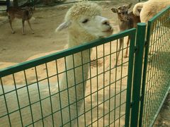 -石家庄市动物园